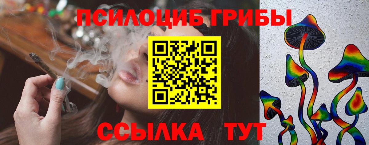 Псилоцибиновые грибы мицелий  Псилоцибиновые грибы Psilocybine cubensis  купить   Дальнереченск  Вход с VPN 