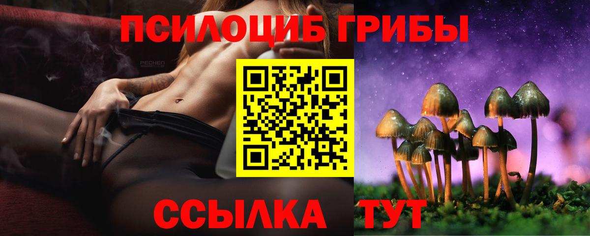 Галлюциногенные грибы Psilocybe Дальнереченск